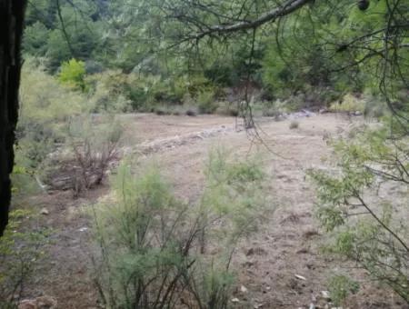 Muğla Köyceğiz Çandırda 9996 M2 Asfalt Cepheli Arazi Satılık