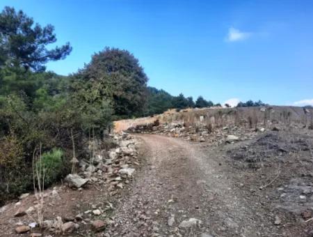 Muğla Dalyan Gökbelde 320 M2 Kelepir Arazi Satılık