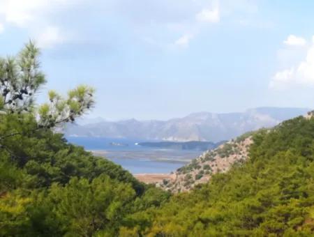 Muğla Dalyan Gökbelde 320 M2 Kelepir Arazi Satılık