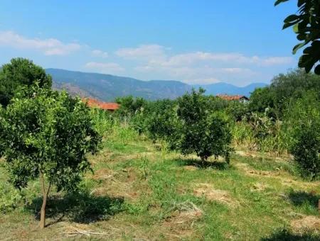 Muğla Köyceğiz Döğüşbelende Satılık Köy Evi