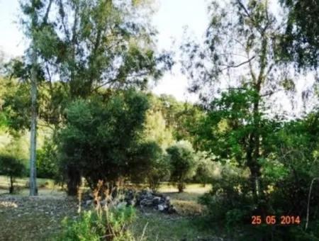 Fethiye Eldirekte Deniz Manzaralı 600 M2 Arsa Satılık