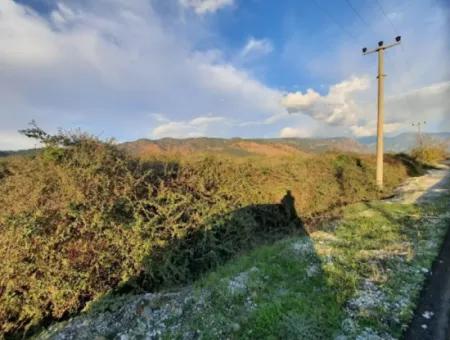 Muğla Köyceğiz Döğüşbelen De Ana Yola Sıfır 7.000 M2 Arazi Satılık