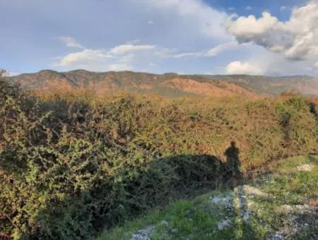 Muğla Köyceğiz Döğüşbelen De Ana Yola Sıfır 7.000 M2 Arazi Satılık
