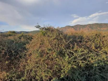 Muğla Köyceğiz Döğüşbelen De Ana Yola Sıfır 7.000 M2 Arazi Satılık