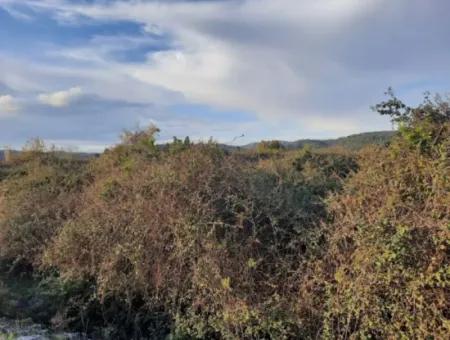 Muğla Köyceğiz Döğüşbelen De Ana Yola Sıfır 7.000 M2 Arazi Satılık