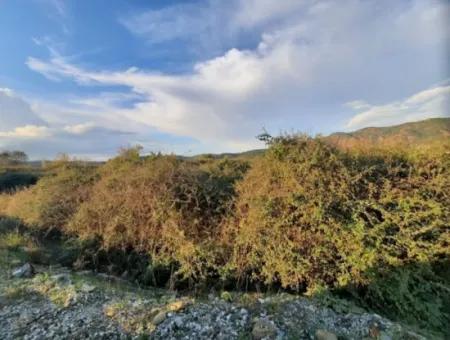 Muğla Köyceğiz Döğüşbelen De Ana Yola Sıfır 7.000 M2 Arazi Satılık