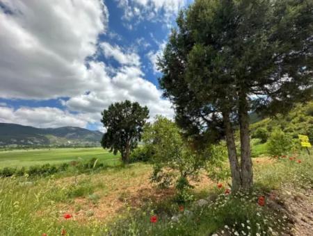 Çameli Belevi Nde Satılık 1083 M2