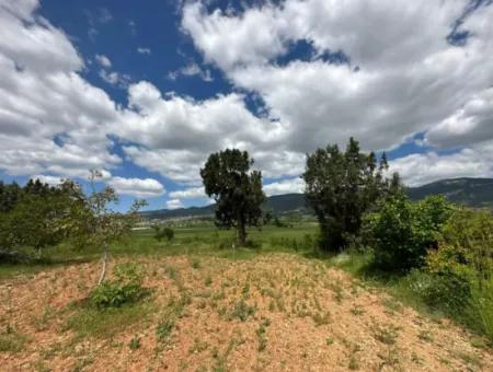 Çameli Belevi Nde Satılık 1083 M2