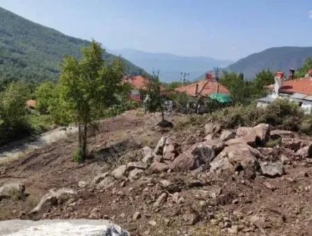 Muğla Köyceğiz Yayla Mah 570 M2 Arsa Satılık