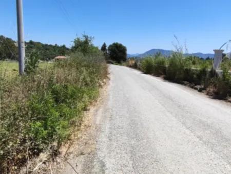 Muğla Ortaca Fevziye Mahallesinde Hisseli 3.000 M2 Tarla Satılık