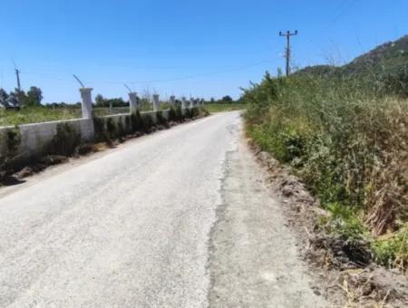 Muğla Ortaca Fevziye Mahallesinde Hisseli 3.000 M2 Tarla Satılık
