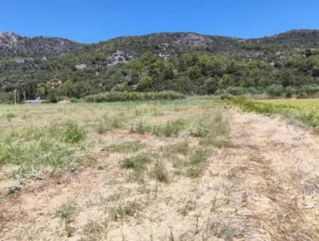 Muğla Ortaca Fevziye Mahallesinde Hisseli 3.000 M2 Tarla Satılık