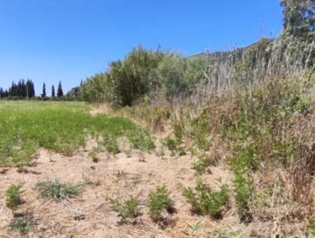 Muğla Ortaca Fevziye Mahallesinde Hisseli 3.000 M2 Tarla Satılık