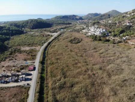 Muğla Ortaca Sarıgermede Satılık 14300 M2 Yatırıma Uygun Arazi