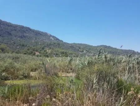 Muğla Ortaca Sarıgermede Satılık 14300 M2 Yatırıma Uygun Arazi