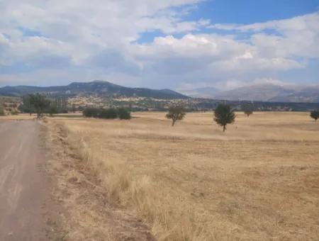 Muğla Seydikemer Yayla Karaçulhada 2 380 M2 Müstakil Verimli Kelepir Arazi Satılık Veya Takas