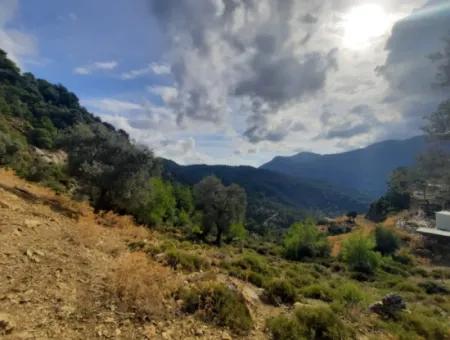 Muğla Dalyan Gökbelde  7 270 M2 Müstakil Tapulu Deniz Ve Göl Manzaralı Arazi Satılık