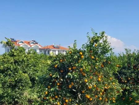 Muğla Dalyan Da Satılık 722 M2 İmarlı Müstakil Arsa