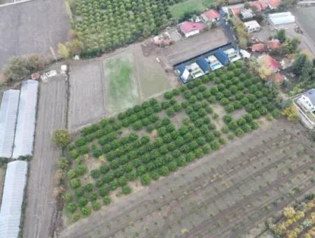 Ortaca Okçularda Yatırıma Uygun İmar Planı İçinde 9750  M2 Arazi Satılık