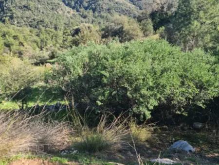 Fethiye İnlice'de 15.000 M² Müstakil Arazi Satılık