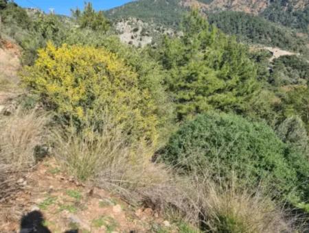 Fethiye İnlice'de 15.000 M² Müstakil Arazi Satılık