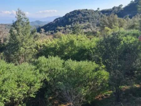 Fethiye İnlice'de 15.000 M² Müstakil Arazi Satılık