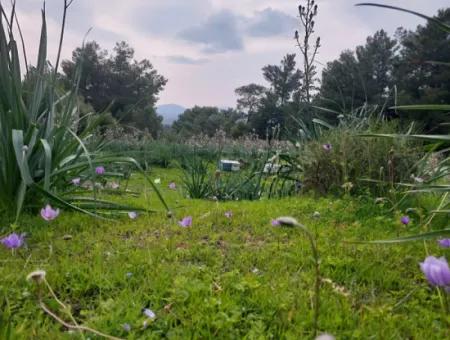 Dalaman Gürköyde 3.500 M2 Deniz Manzaralı Müstakil Arazi Satılık