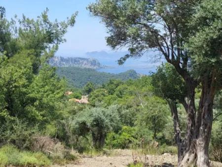 Mugla Gökbelde Göl Ve Deniz Manzaralı 1000M2 Arazi Satılık