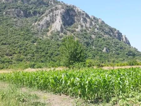 Dalyan Okçular Marmarlıda 1 900 M2, İmar Planı İçindeki Arazi Satılık
