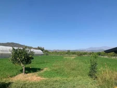 Ortaca Arıkbaşında 5400 M2 Hazır Çiftlik Satılık