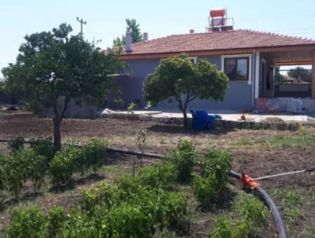Ortaca Arıkbaşında 5400 M2 Hazır Çiftlik Satılık