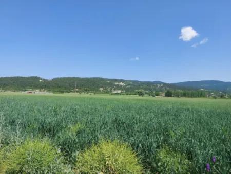 Denizli Çameli Kızılyakada Satılık1500 M2 Müstakil Tapulu Kelepir Arazi