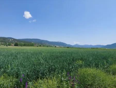 Denizli Çameli Kızılyakada Satılık1500 M2 Müstakil Tapulu Kelepir Arazi
