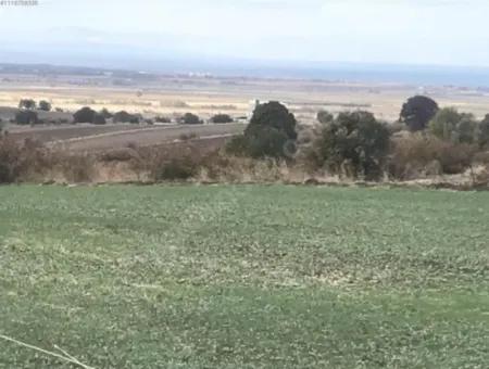 Çanakkale  Biga Koruobada Deniz Manzaralı Kelepir  9 715 M2 Müstakil Tapulu Verimli Arazi Satılık