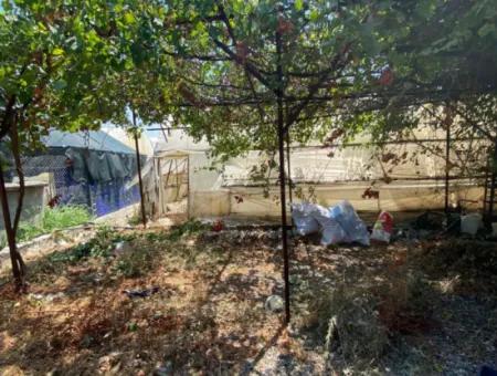 Ortaca Eskiköy De 5200 M2 Tarla İçinde Müstakil Ev Ve Sera Satılık