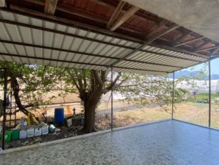 Ortaca Eskiköy De 5200 M2 Tarla İçinde Müstakil Ev Ve Sera Satılık