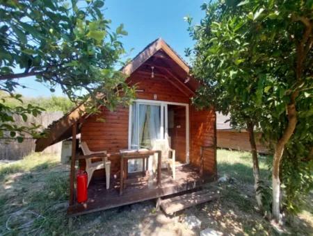 Dalyan’da Satılık 6 Adet Eşyalı & Klimalı Tiny House Bungalov – Yatırım Fırsatı