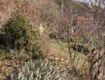 Mugla Menteşe Zeytinköy De 200 M2 Konut İmarlı  406 M2  Arsa Satılık