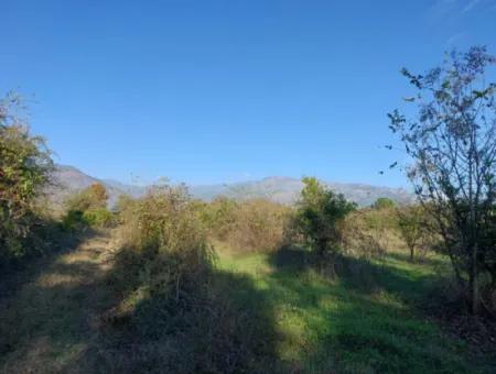 Köyceğiz Toparlar Da  Göle Yakın 9 600 M2 Arazi Satılık