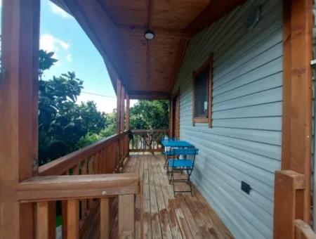 Muğla Ortaca Gökbel  Doga İçinde  Yüzme Havuzlu 1+1 Ahşap Eşyalı Bungalov Kiralık