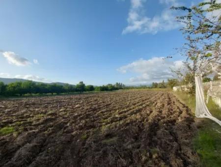 Muğla Ortaca, Dalaklı 2.000 M2, 400 M2 İnşaat Hakkı Olan  Satılık Konut İmarlı Arsa