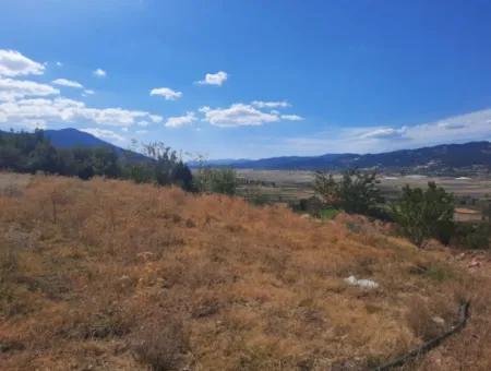 Çameli Kızılyakada 5 000 M2 Müstakil Arazide 2+1  Ev Ve  200 M2  Ahır Satılık