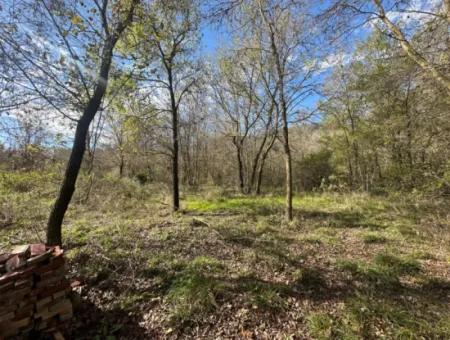 Ortaca Yeşilyurt Da 12 000 M2 Tarla Satılık