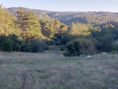 Muğla Ula  Kızılyaka 790M2 Hazine Arazisi Zilliyet Hakkı Devir Edilecek Veya  Araç Takas Olur