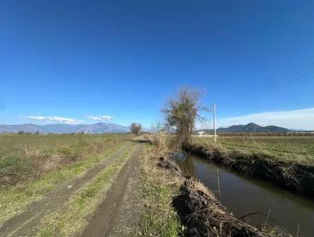 Dalyana Yakın Konumda, Köyceğiz Gölüne Yakın Satılık Tarla