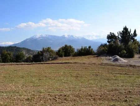 Çameli Gökçeyakada Satılık Veya Takas Taş Ev Ve Arazisi