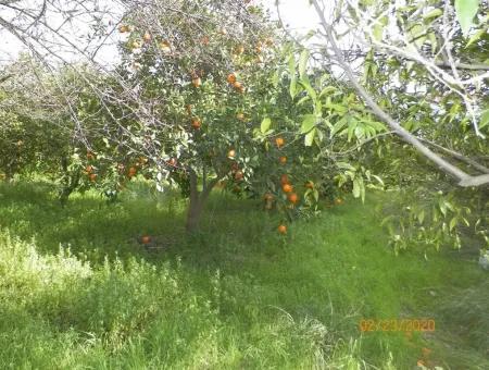 Toparlarda Satılık Yola Sıfır İmarlı Arsa