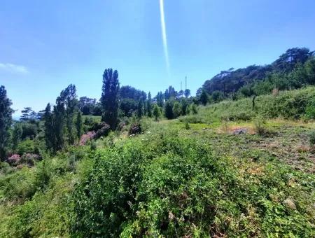 Köyceğiz Yayla, Ağla Köyünde Göl Manzaralı Yatırıma Uygun Müstakil Arazi Satılık