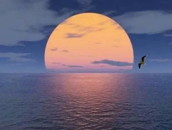 Dalyan, Mugla, Ortaca, Dalaman, Milas, Bodrum, Marmaris, Güllük, Menteşe, Datca, Ölüdeniz, Hisarönü, Sarıgerme, Köycegiz, Toparlar, Ekincik